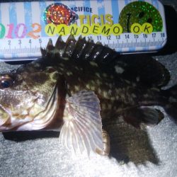 釣りデビュー 63日目