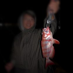 夫婦でナイター