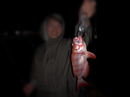 夫婦でナイター