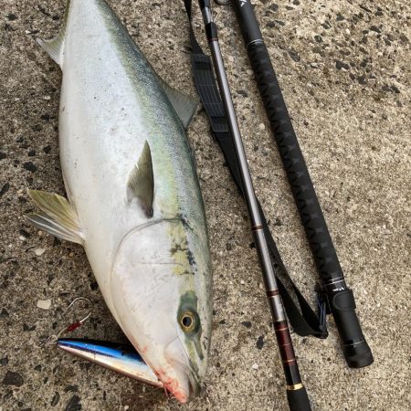 ショアでブリのRIDE ON!!