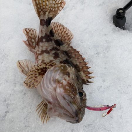 雪降る中、メタルトスでRIDEONを狙う。…