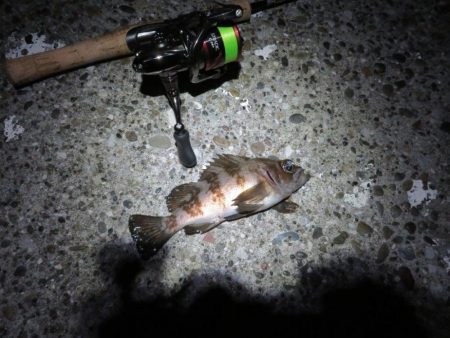 2021シーズン開幕!?