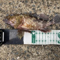 雨のボトムバンプでRIDEON!