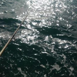 ひやひやしました❗