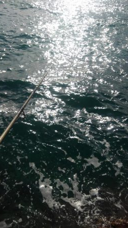 ひやひやしました❗