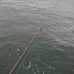 やっとやり～❓