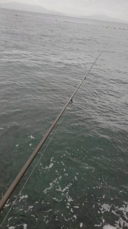 やっとやり～❓