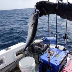 開進丸 釣果