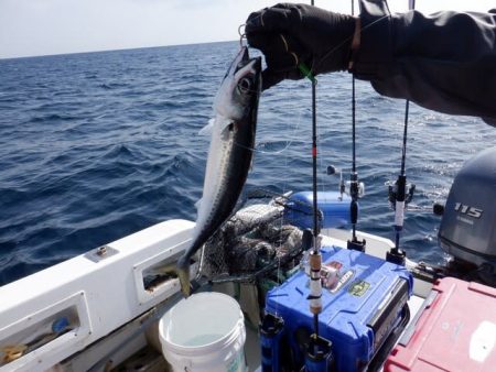 開進丸 釣果