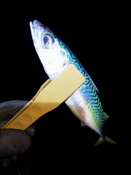 サイズが出ないなあ