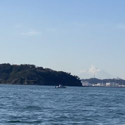 猿島沖、タチウオ