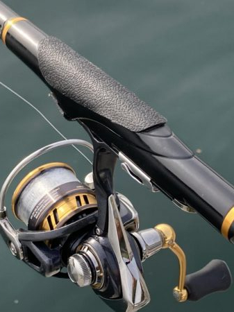 黒メバルやらチヌやら