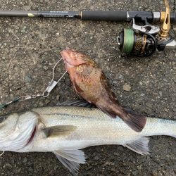 オリジナルベイト