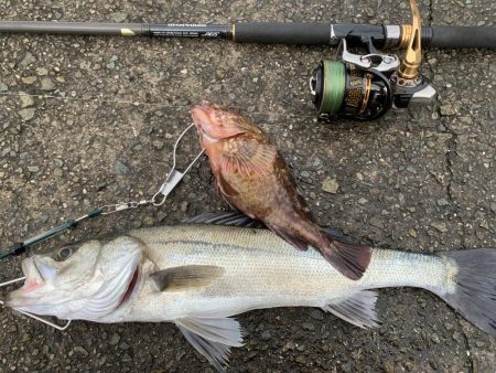 オリジナルベイト