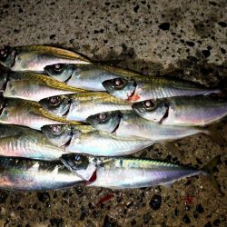 連休は人でいっぱい