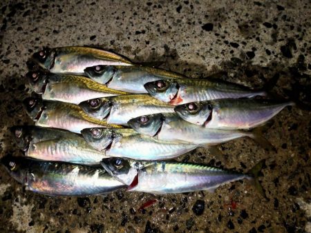 連休は人でいっぱい