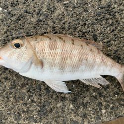 悪天候の中での釣り