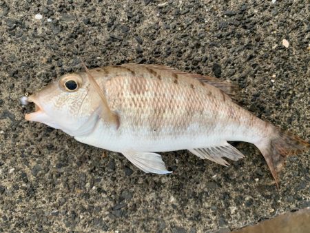 悪天候の中での釣り