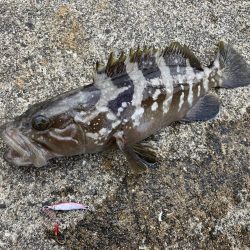 2020ファイナルRIDEON！