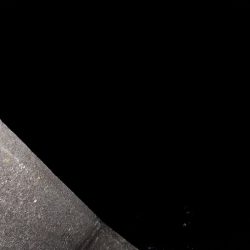 ナイトフィッシング