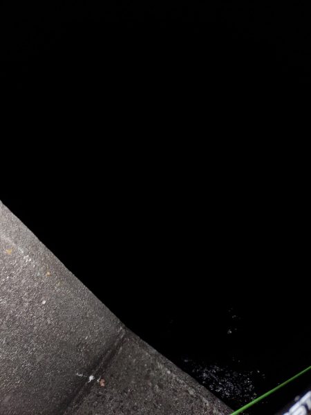 ナイトフィッシング