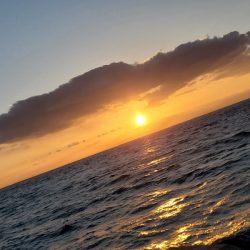 釣れないよりはマシ