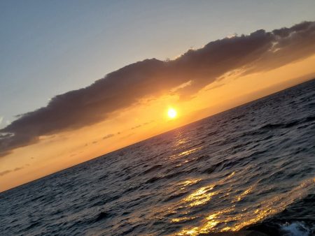 釣れないよりはマシ