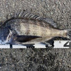 イチノ兄弟、釣果！