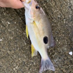 朝日を見ながら