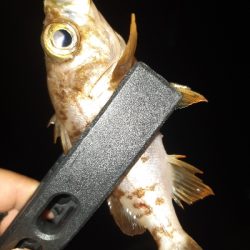 またまた仕事帰りに