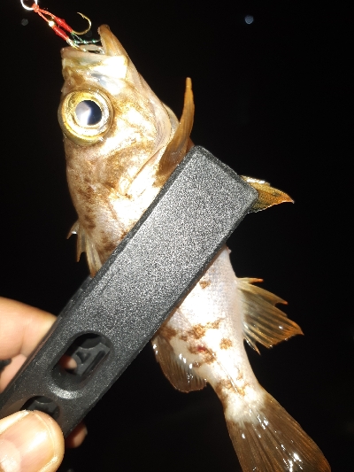 またまた仕事帰りに