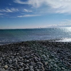 釣り初めはサワラ！