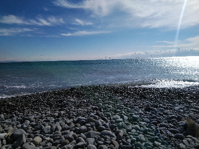 釣り初めはサワラ！