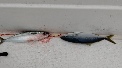 老人嶋神社へ初詣