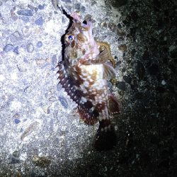 厳しい冬の釣行