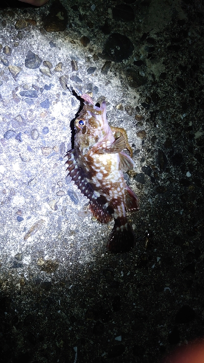 厳しい冬の釣行