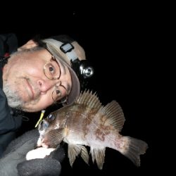 野暮用にて、少しだけ