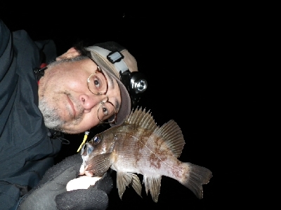 野暮用にて、少しだけ