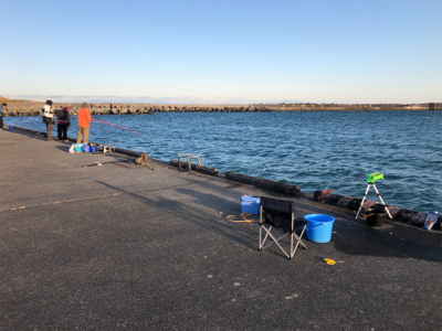 マイワシがポツポツ