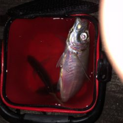 令和3年スタート