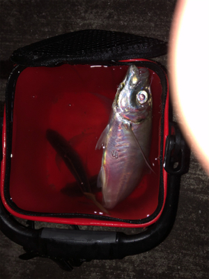 令和3年スタート