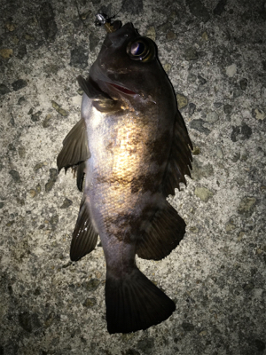 2021ライトゲーム第1戦