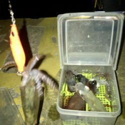 -4℃でもヒイカ釣りσ(^_^;)