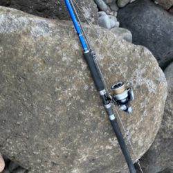 今年2021初！！朝マズメのヒラスズキ！！