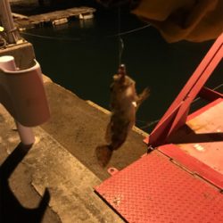 新年極寒ライトゲーム