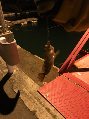 新年極寒ライトゲーム