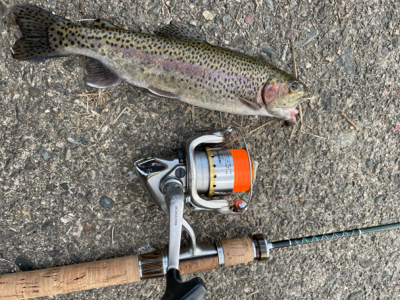 北方マス釣り場