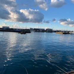 アジ カマス サバ タカべ