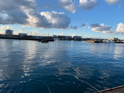 アジ カマス サバ タカべ