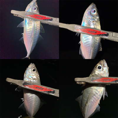 極寒・爆風アジング